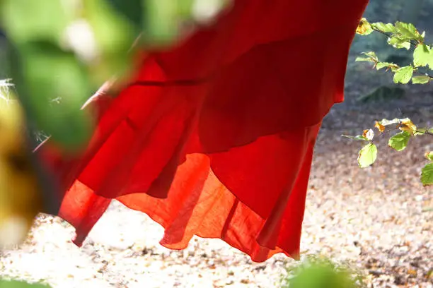 Photo of red dress