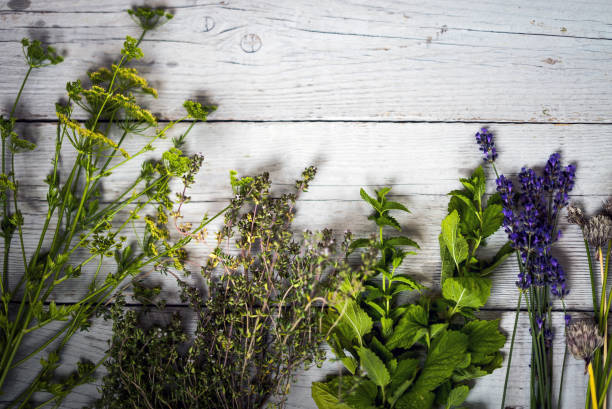 istock fresh kitchen herbs and spices on wooden table. Top view 860045228