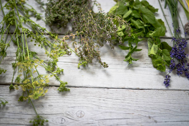 istock fresh kitchen herbs and spices on wooden table. Top view 860045358