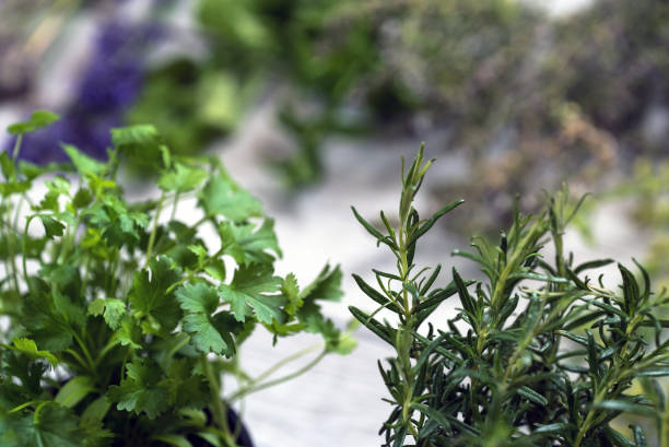 istock fresh kitchen herbs and spices on wooden table. Top view 860048314