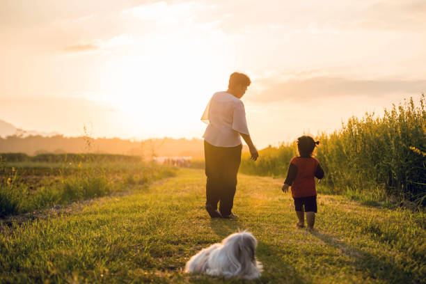 Grandmother, daughter and a dog with happy family enjoying life together at meadow; light and lens flare effect tone Grandmother, daughter and a dog with happy family enjoying life together at meadow; light and lens flare effect tone. superhero environment women green color stock pictures, royalty-free photos & images