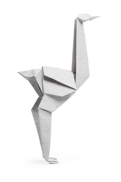 istock Origami ostrich isolated 860060096