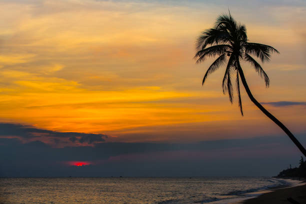 istock Sunset on Sanya beach, China. 860060300