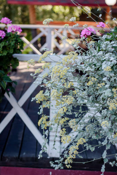 istock Ampel flowers on garden as landscape design element 860061440