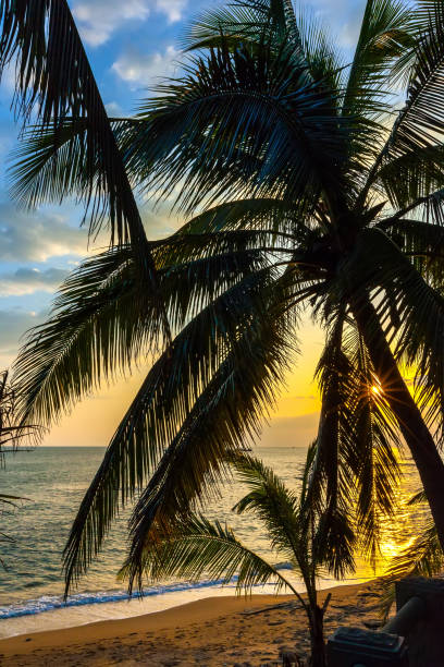 istock The coast of Sanya Island. 860065696