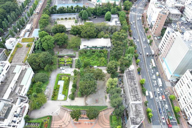 istock Tokyo's green 860069226