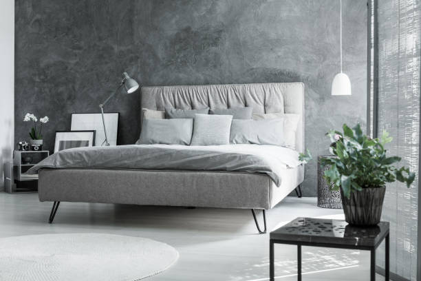 istock Inspiring grey bedroom with plant 860069252