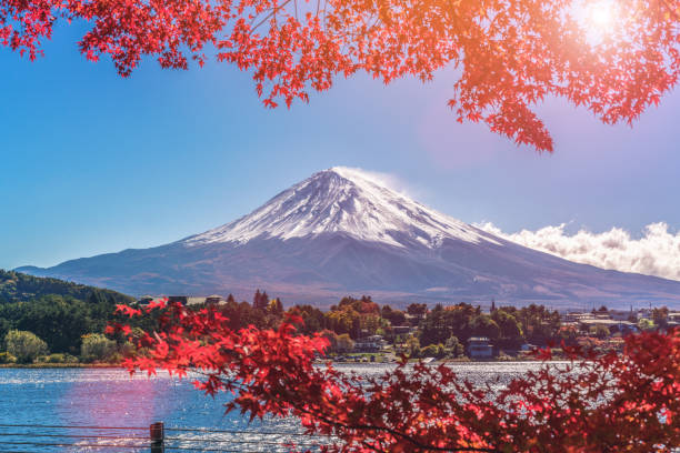 monte fuji in colore autunnale, giappone - volcano mt fuji autumn lake foto e immagini stock