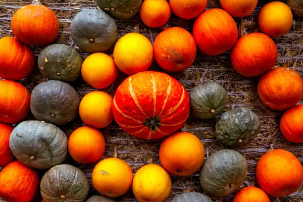 Pumpkin Orange Attached Haybale Closeup Background Texture Decoration Autumn Fall Swirl Pattern