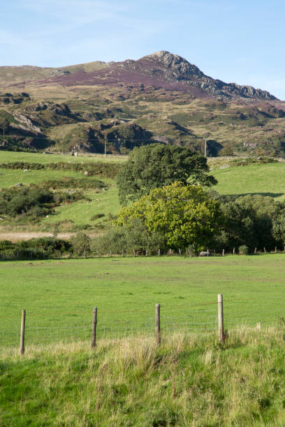 Mountain Peak in Snowdonia, Wales