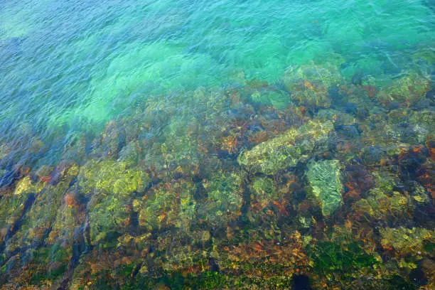 Clear Water in Hong Kong Area