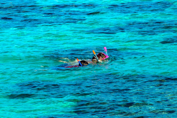 istock snorkeling see the coral 860103706