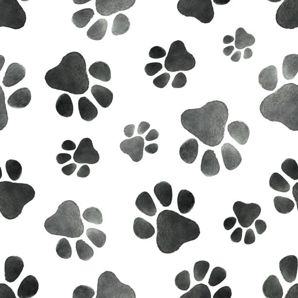 水彩ベクトル シームレスなパターン犬跡と足します。 - dog paw print paw print点のイラスト素材／クリップアート素材／マンガ素材／アイコン素材
