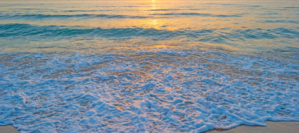istock Sunrise over a sandy beach in sunlight in summer 860106340
