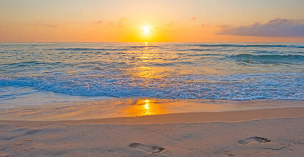 istock Sunrise over a sandy beach in sunlight in summer 860107180