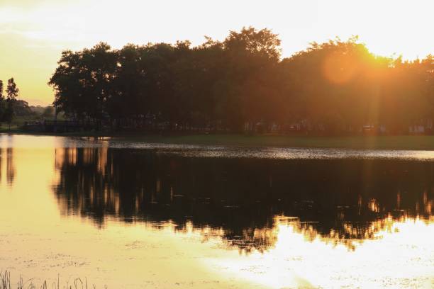 istock reflection river and shadow tree in water  beautiful  sunset nature 860108460