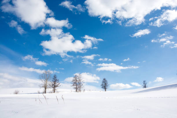 istock Winter blue sky and snow hill 860122406