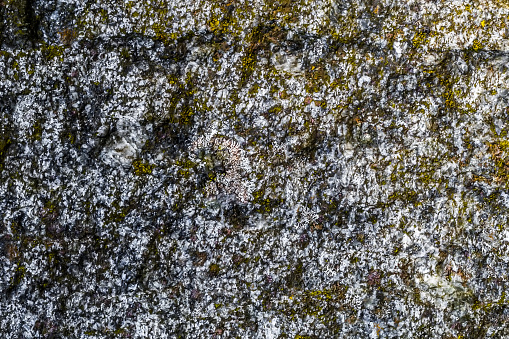Natural hard rock or stone texture surface as background.