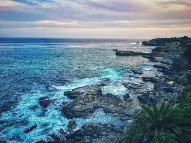 istock Rocky coastline in Hermanus,South Africa 860129250