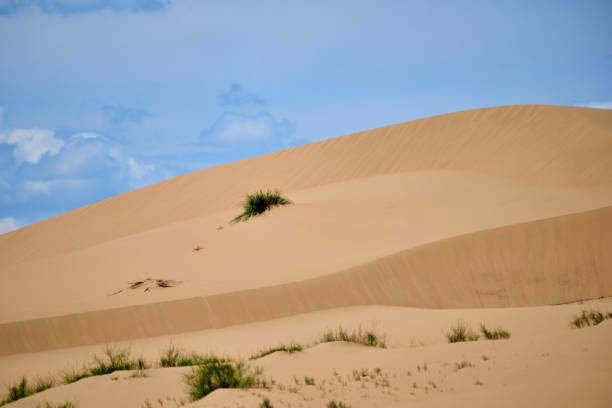 istock Sand dunes of Asia 860129500
