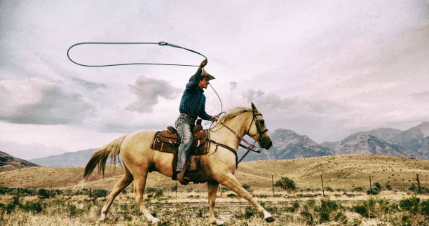 Lasso Cowboy Young cowboy with lasso riding quarter horse on the open western range with mountains in the background. Utah, USA cowboy stock pictures, royalty-free photos & images
