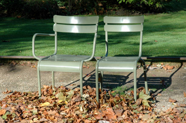 A beautiful shot of sage-colored chairs on a beach