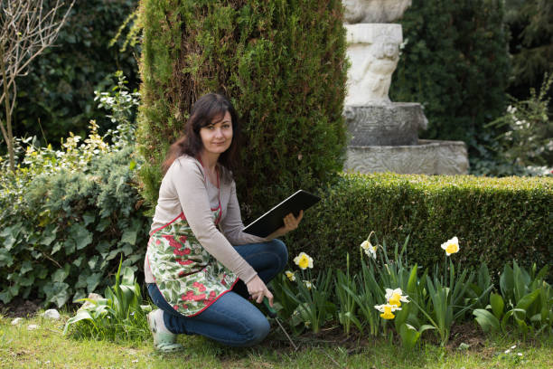 middle aged woman works in garden holds tablett pc
