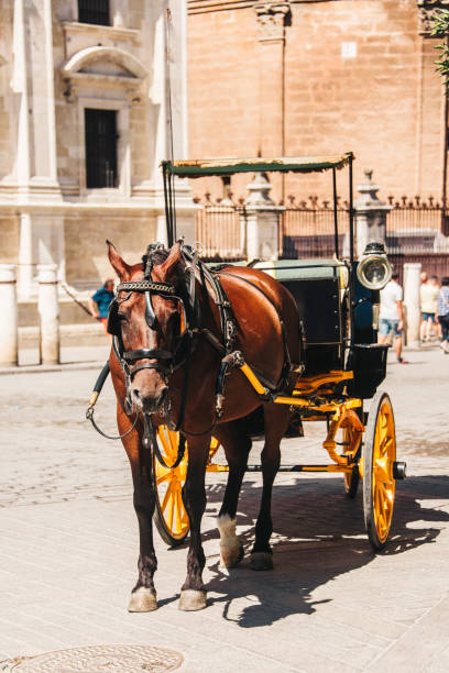 istock Horse Carriage in Seville, Spain 860152012