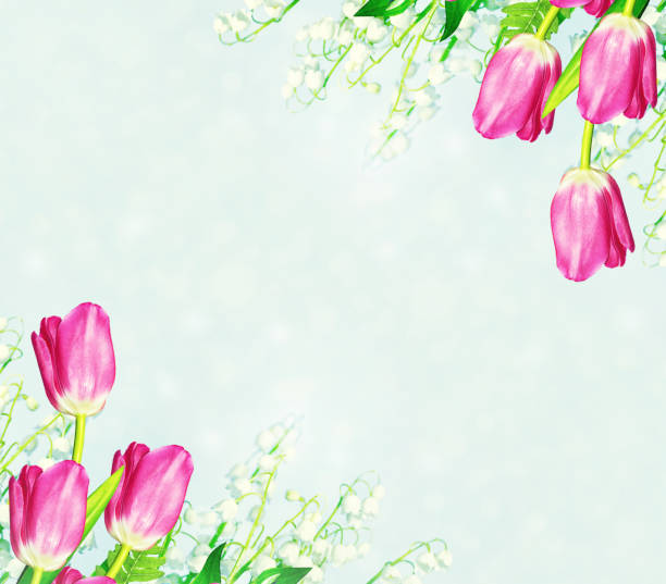 istock Bright and colorful flowers tulips 860152342