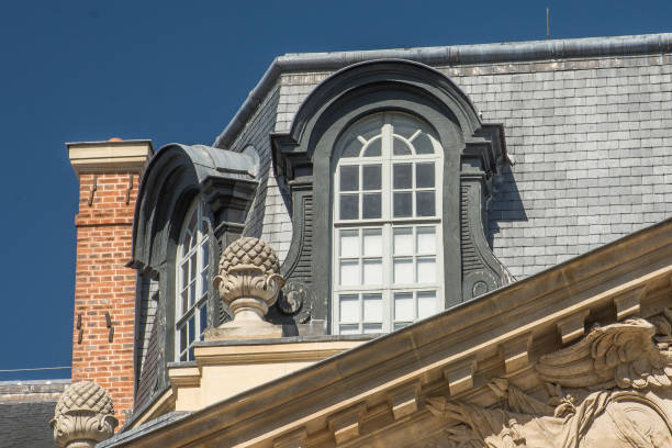 istock Partial view on a typical roof in Paris 860156296
