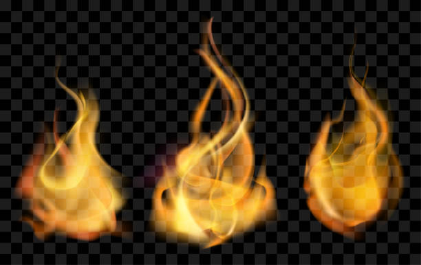 vector realistic fire set of realistic fire, isolated vector mesh illustration fireball stock illustrations
