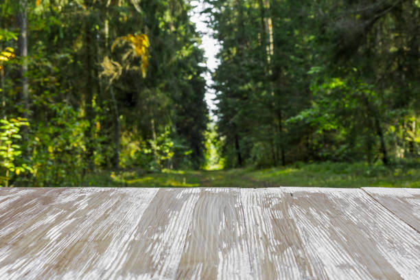 istock Empty rustic wood table top on blurred forest background at summer. Can montage or display your products 860164750