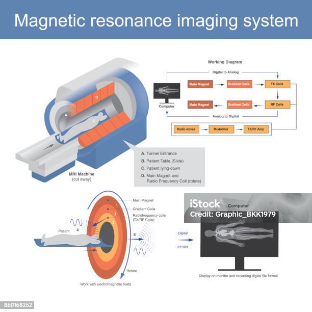 Magnetic Resonance Imaging System Stock Illustration - Download Image Now - MRI Scan, MRI Scanner, Order