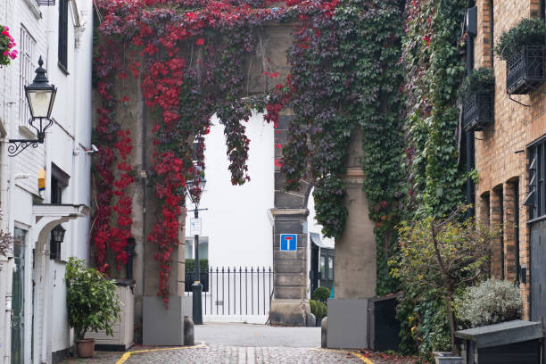 istock Leaves turning at a mews entrance 860169610