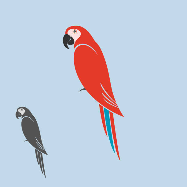 parrot silhouette vector art illustration