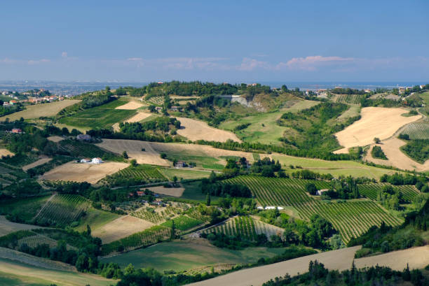 istock Landscape in Romagna at summer from Sogliano al Rubicone 860174260