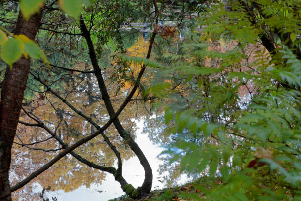 istock 4 Seasons. Autumn in the botanical garden 860179054
