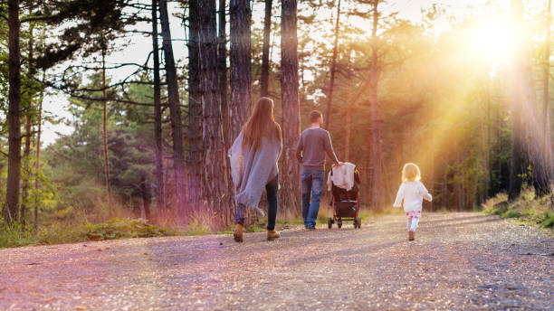 Happy young family walking in a park, back view.