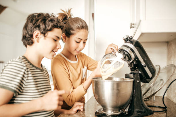 hermanos de la hornada - food processor fotografías e imágenes de stock