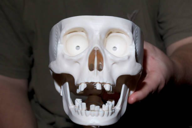 istock A young man holds a model of a human skull in his hands. 860191186