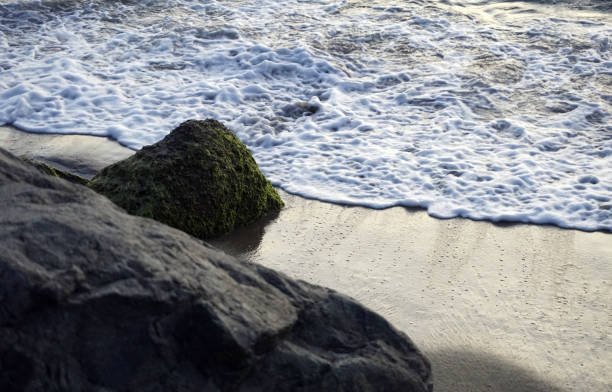 istock The beach is shaped by erosion and climate change. 860191310