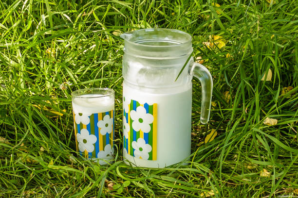 istock Pitcher and glass of milk on the green grass 860199006