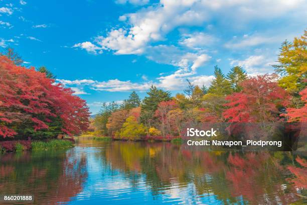 Delightful Autumn Colors Of Kumoba Pond In Karuizawajapan Stock Photo - Download Image Now