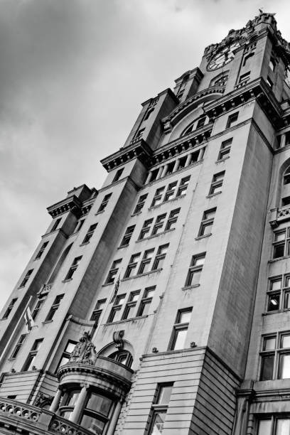 liver building liverpool - cunard building imagens e fotografias de stock