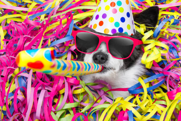 istock happy birthday  dog celberation 860206974