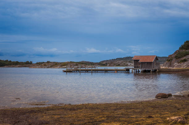 istock wooden pier on the swedish coast 860210218