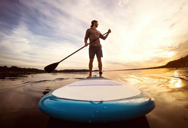 fotografii de stoc, fotografii și imagini scutite de redevențe cu omul de echitatie paddleboard pe puget sunet la apus de soare - paddleboard