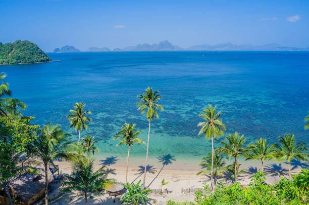 istock Sandy Beach with Palm Shadows, Huge Rocks in Background, El Nido, Palawan, Philippines 860221544