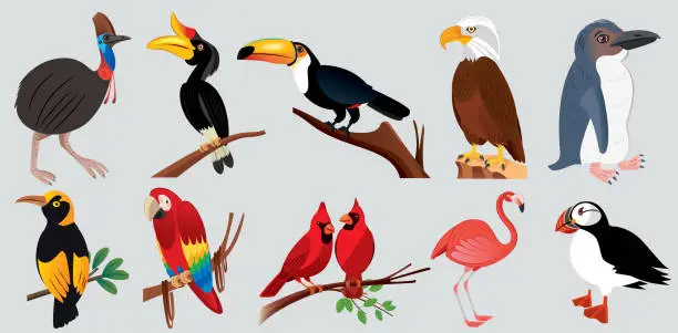 Vector illustration of Animals