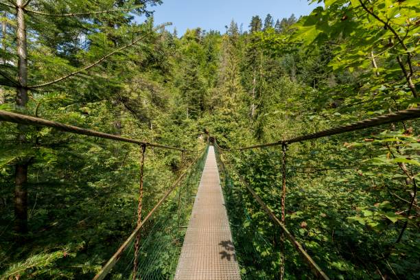 istock The Slovak Paradise National Park 860229384